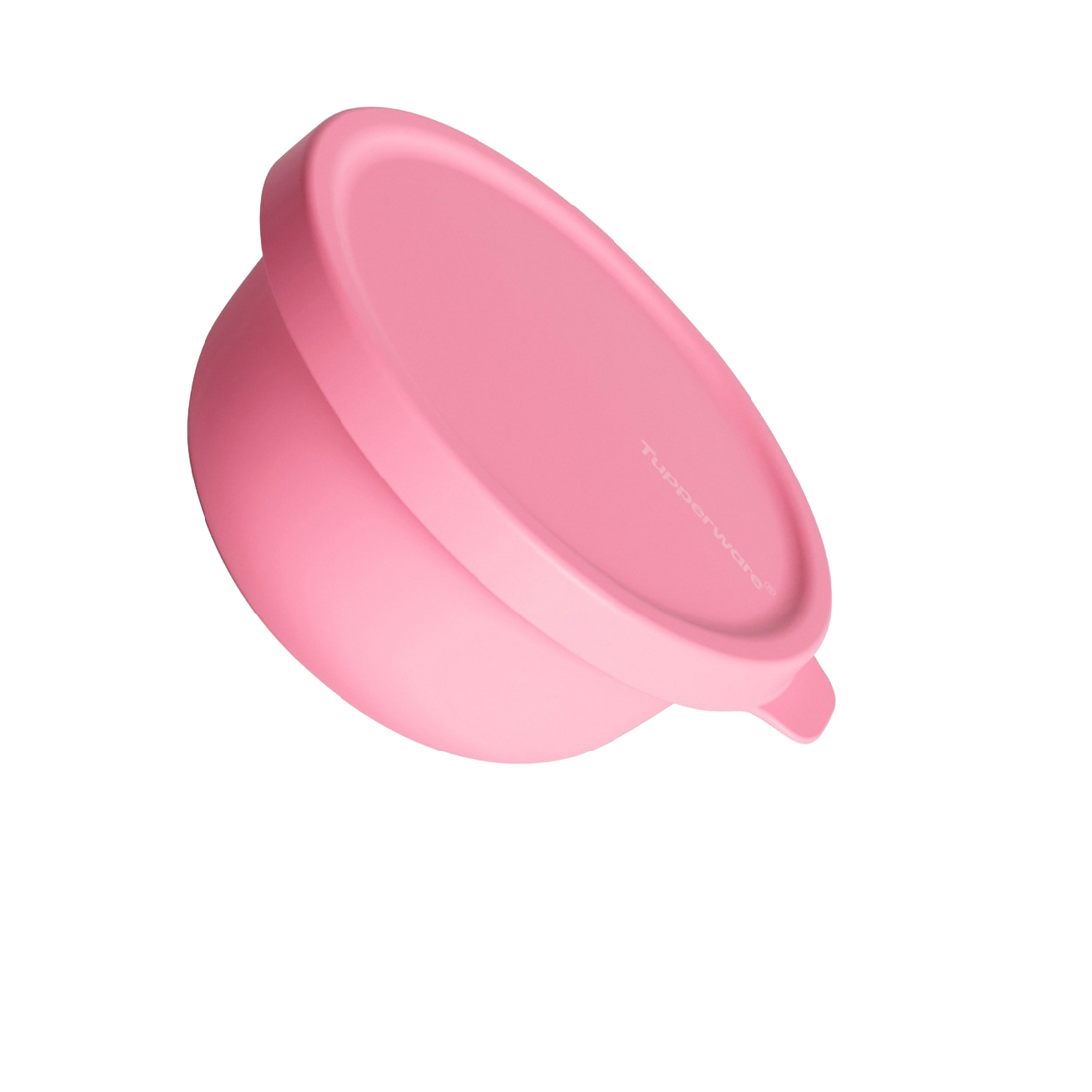 TUPPERWARE FRANCE