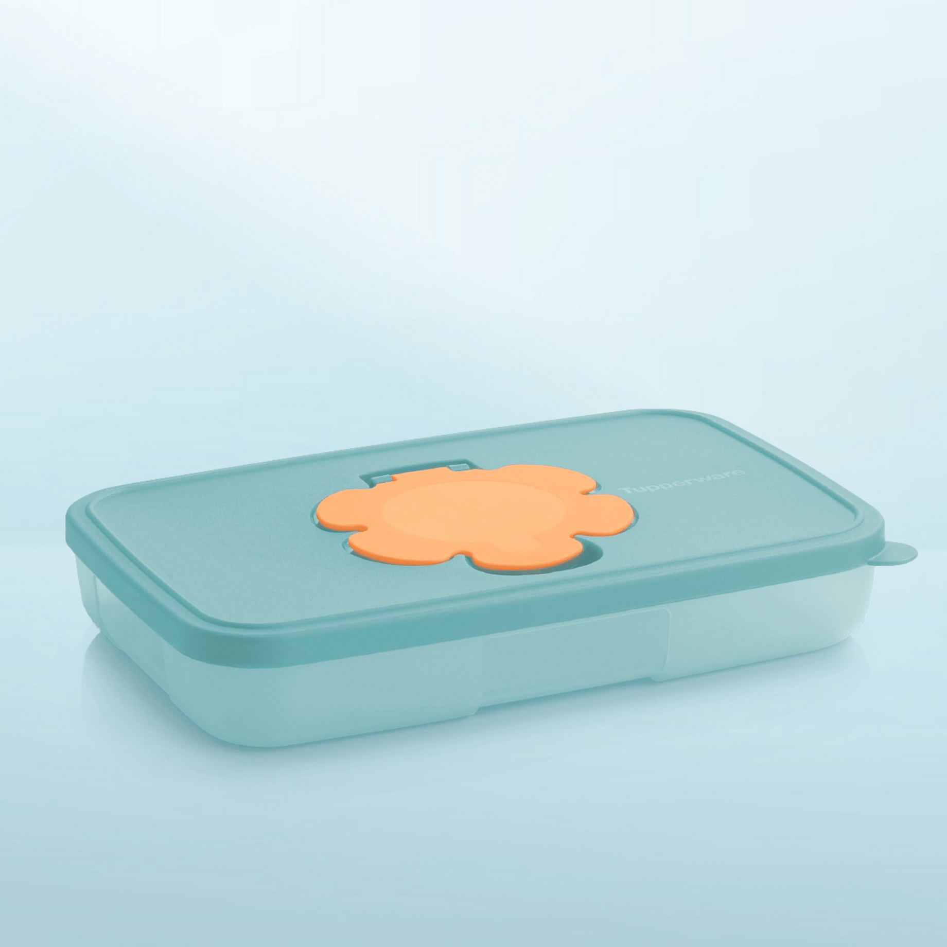 Boîte à lingettes 650 ml - Tupperware Europe