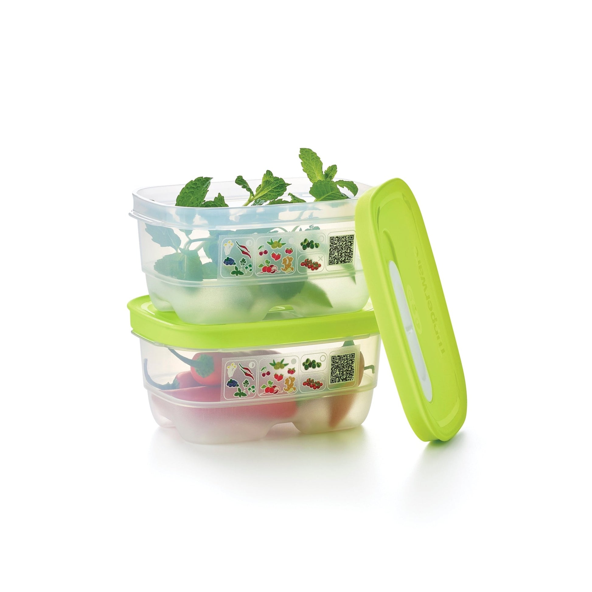 Boîte VentilOfrais 375 ml - Tupperware Europe