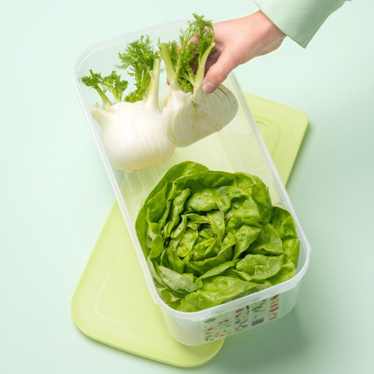 Boîte VentilOfrais 6,1 l - Tupperware Europe