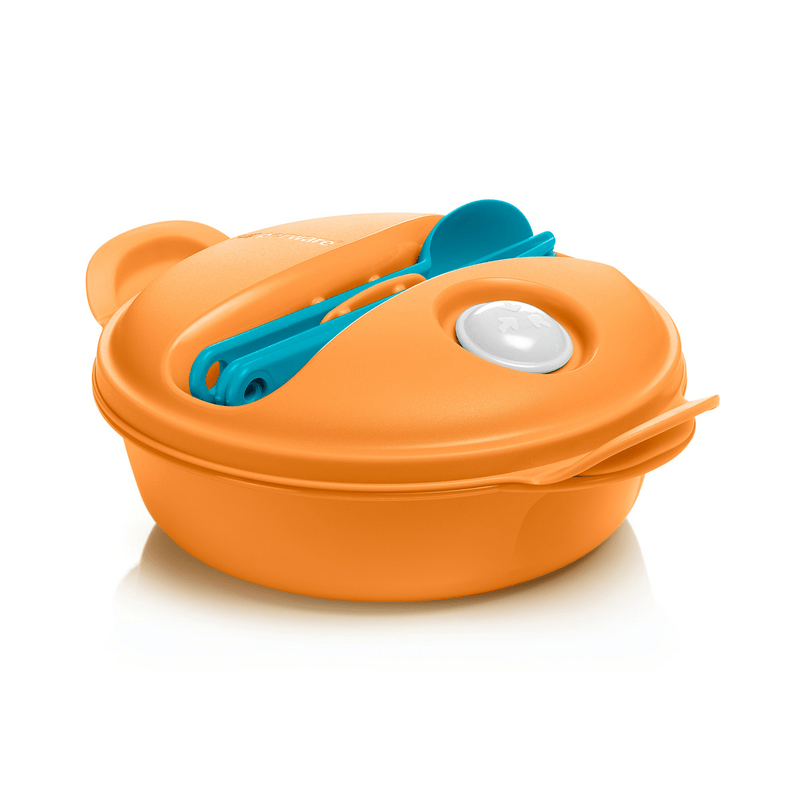 Tupperwareオーブンウェーブ2点とココット2点 Tupperwareオーブン