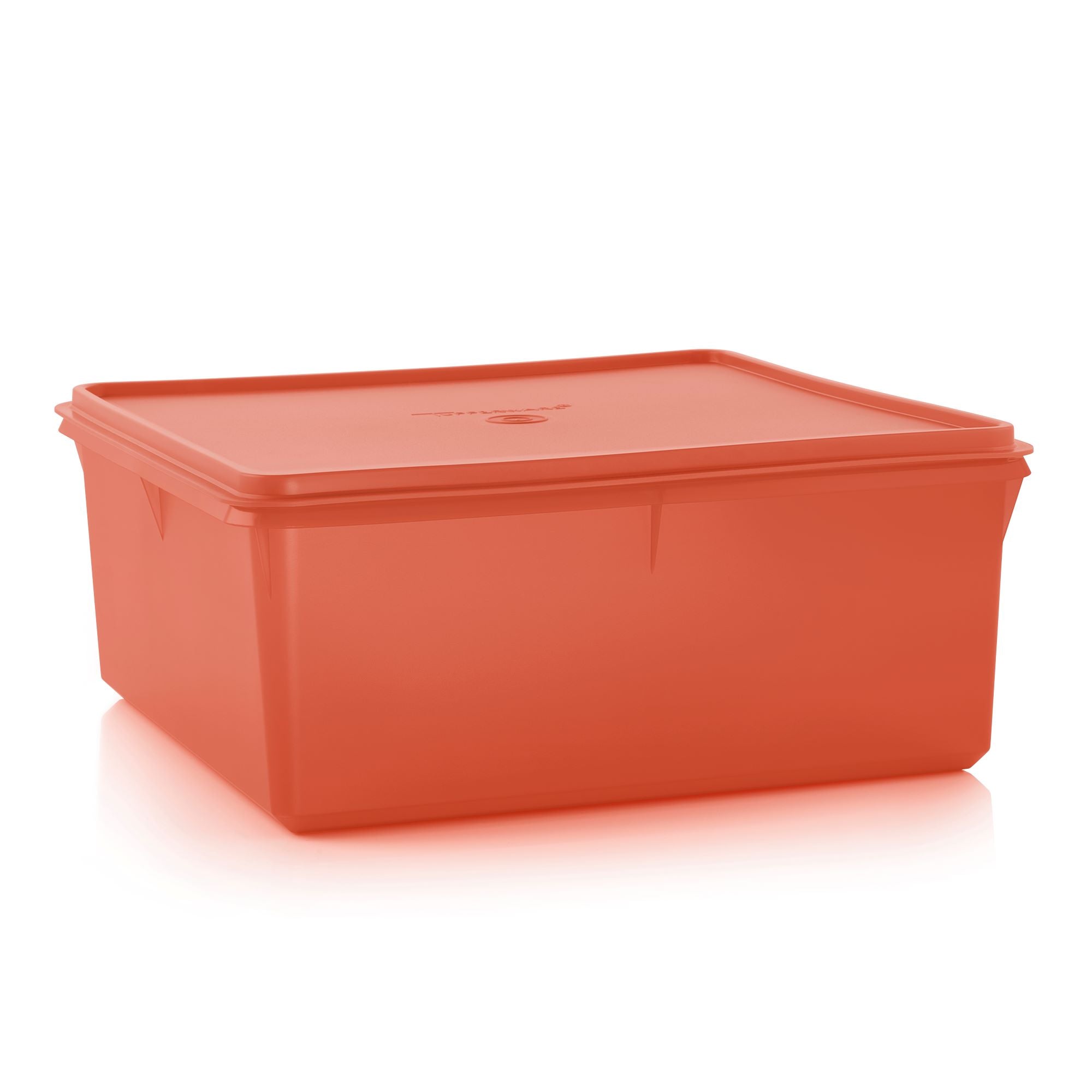 Grand Bac 10 L OOBO TUPPERWARE FRANCE grand-bac-10-l-oobo-tupperware-france