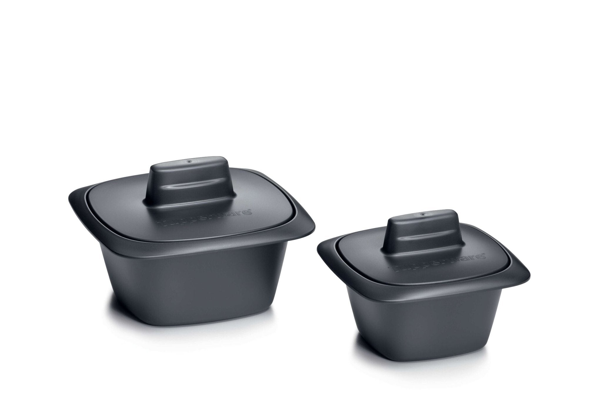 Terrine Ultra Pro 500 ml - Tupperware Europe