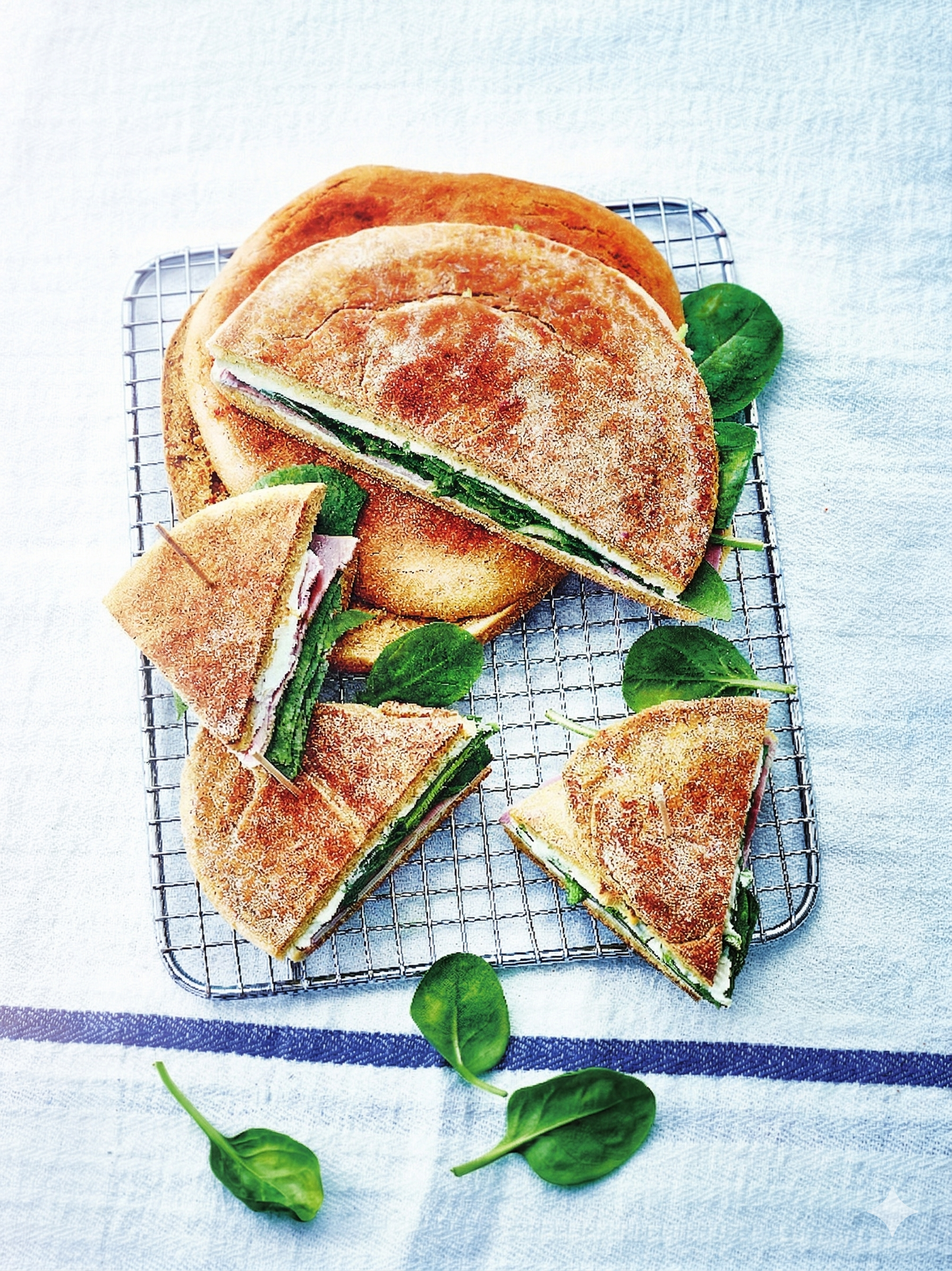 Pita Croc’Frühling