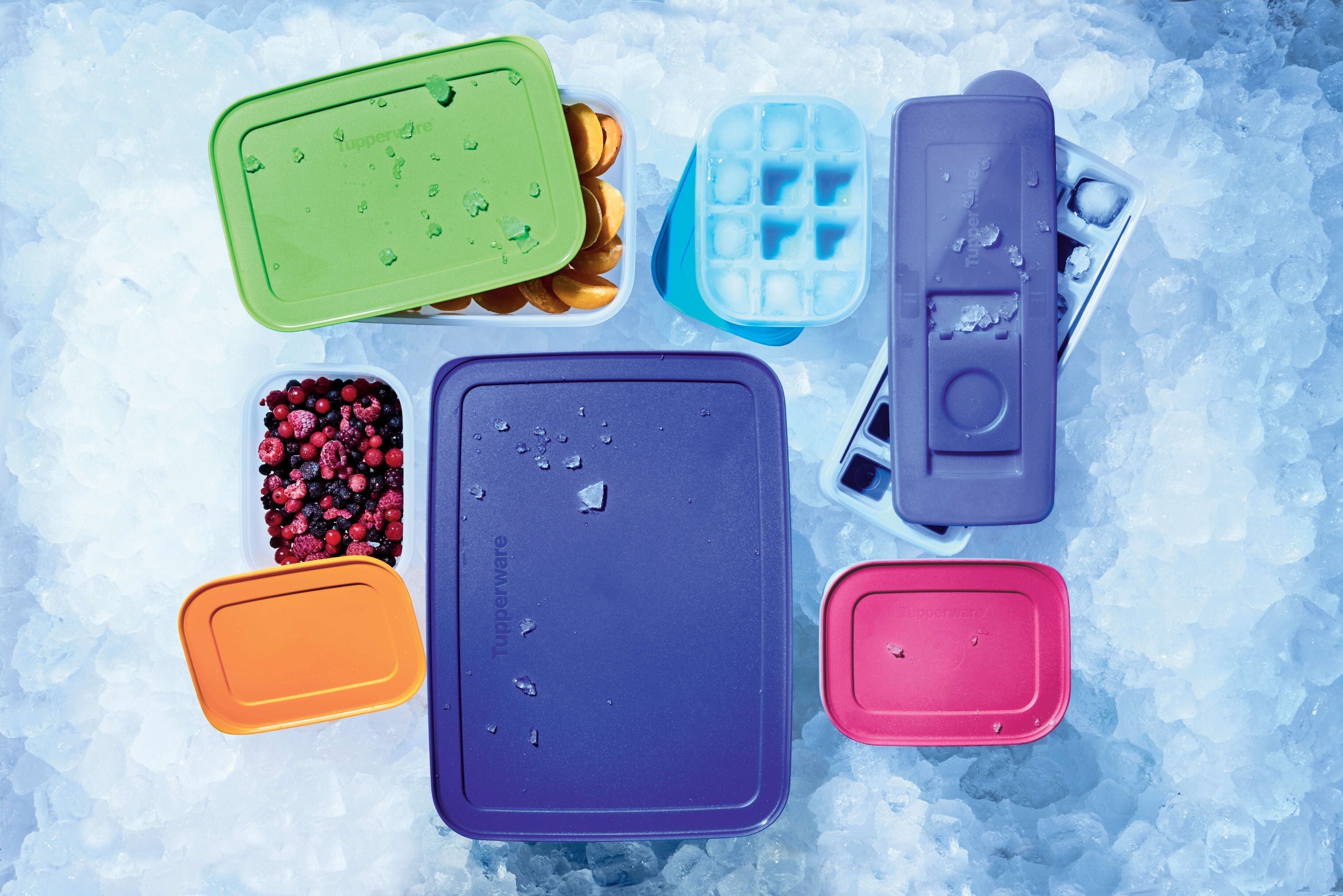 Congélateur - TUPPERWARE FRANCE