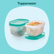 2 Boîtes Igloo 170 ml - Tupperware Europe