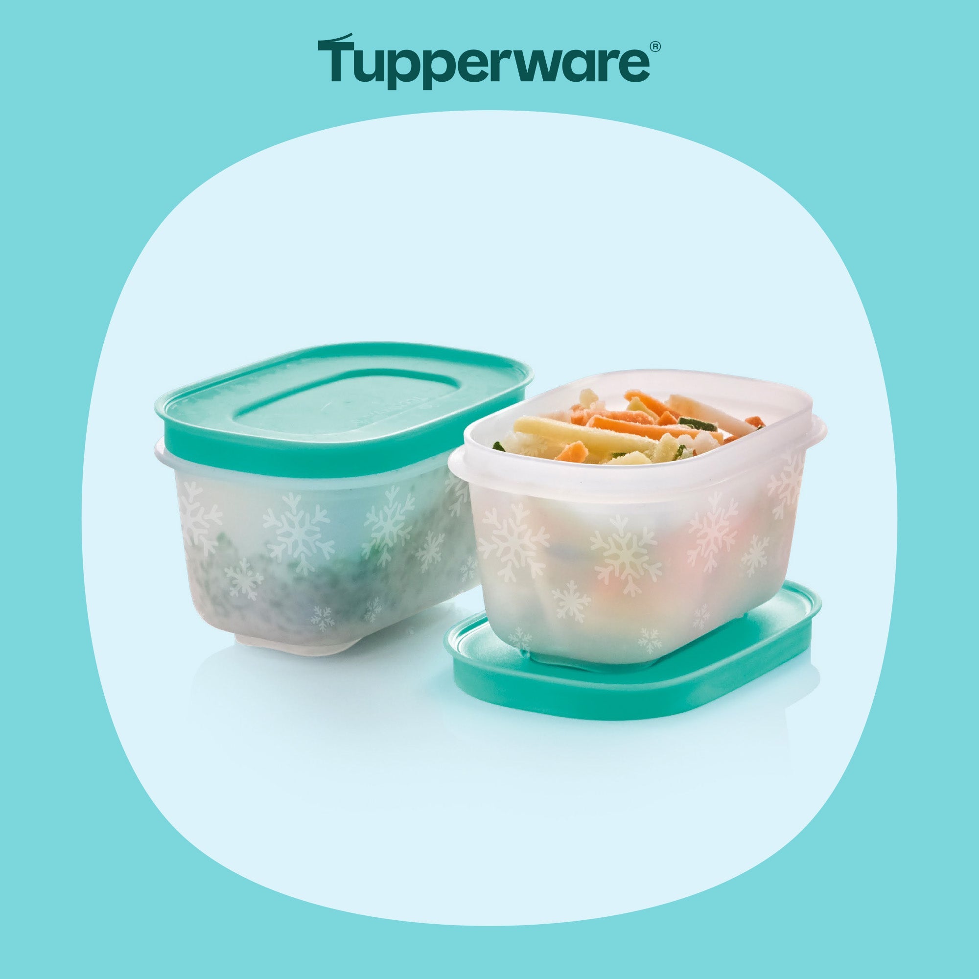 2 Boîtes Igloo 170 ml - Tupperware Europe