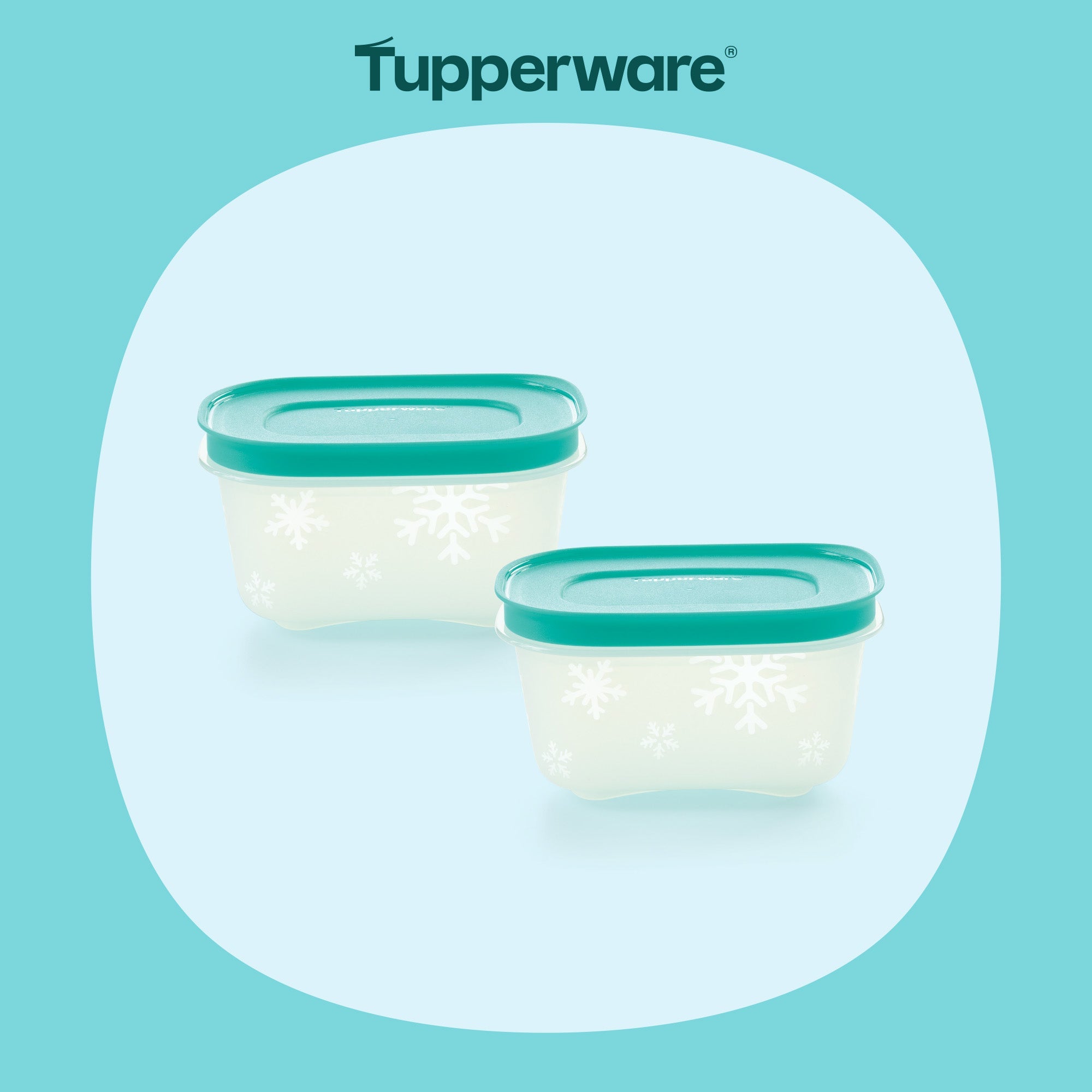 2 Boîtes Igloo 170 ml - Tupperware Europe
