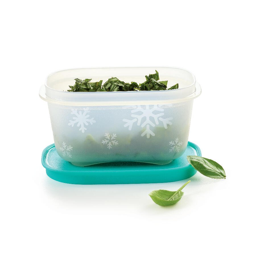 2 Boîtes Igloo 170 ml - Tupperware Europe