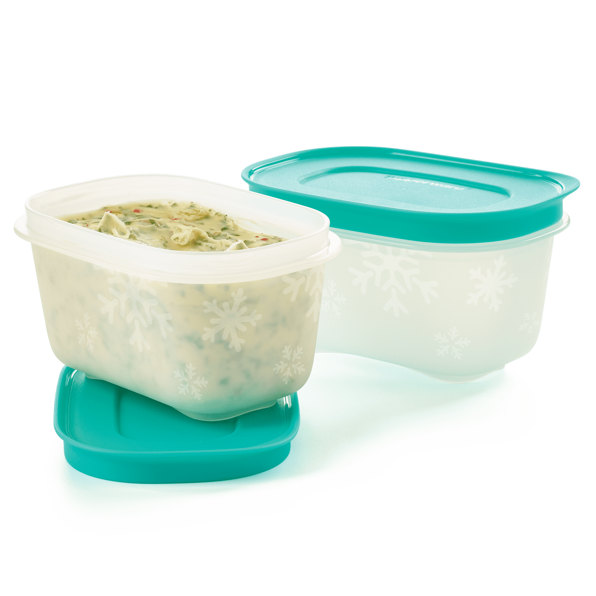 2 Boîtes Igloo 170 ml - Tupperware Europe