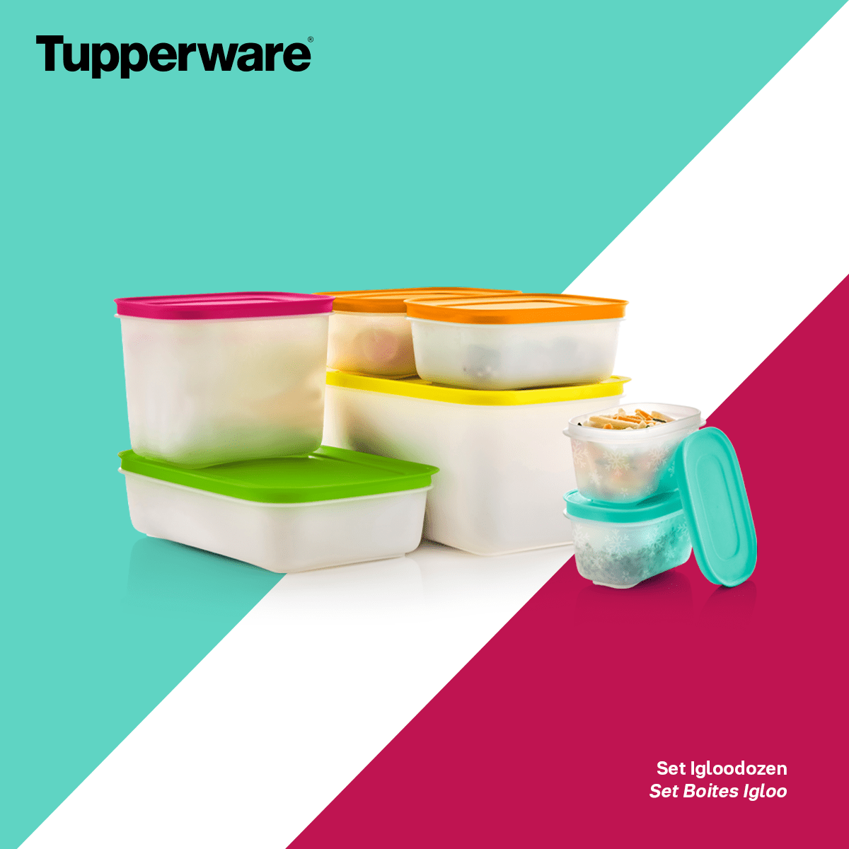 2 Boîtes Igloo 170 ml - Tupperware Europe