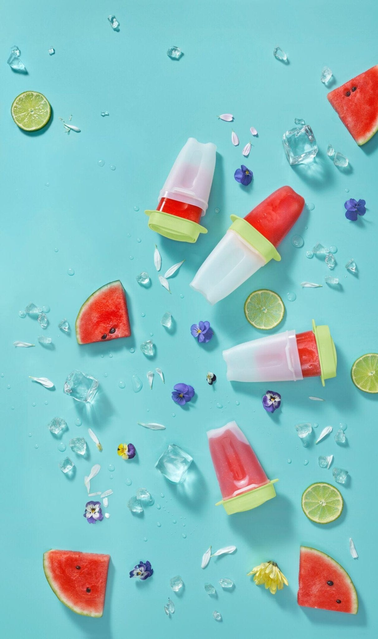 Sucettes à glacer glaces maison lot de 4 Tupperware® – OOBO