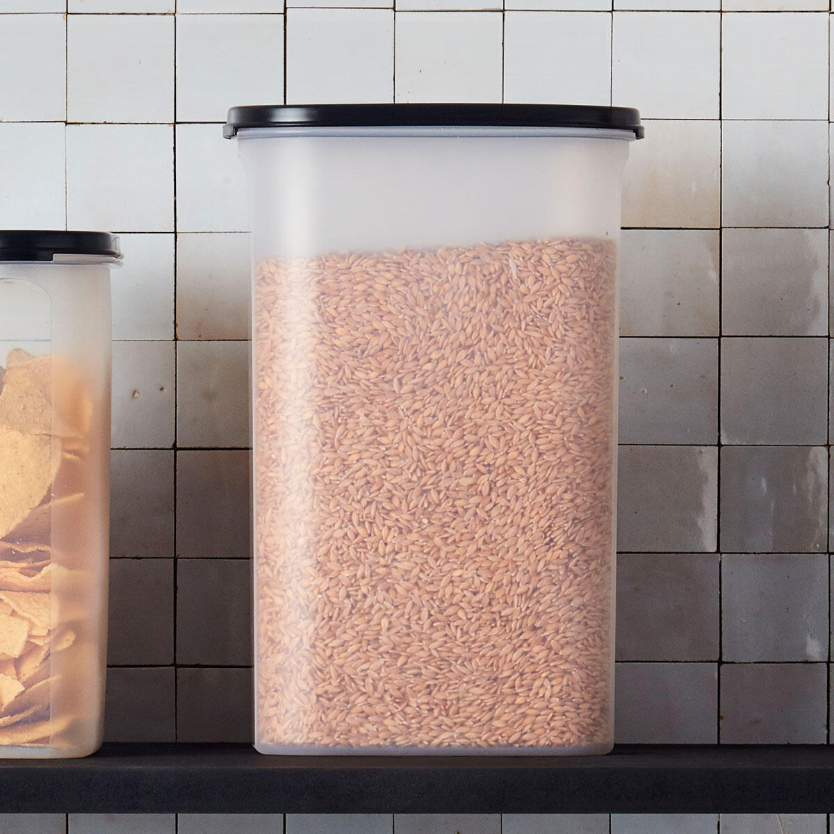 Base Modulaire ovale 2,9 l (sans couvercle) - Tupperware Europe