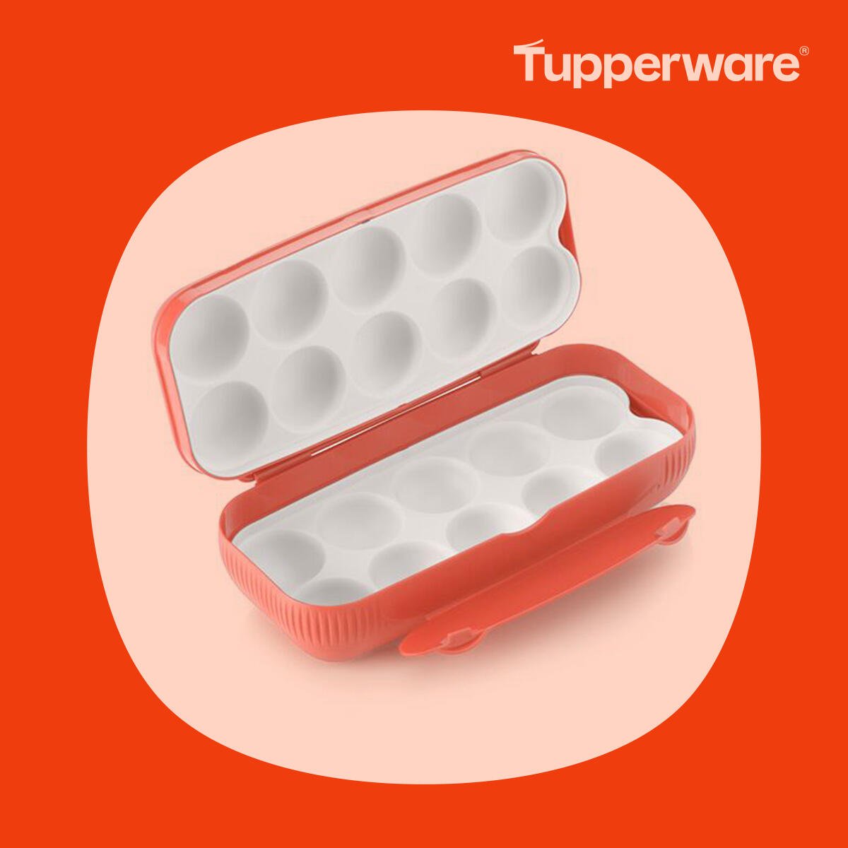 Boîte à œufs - Tupperware Europe