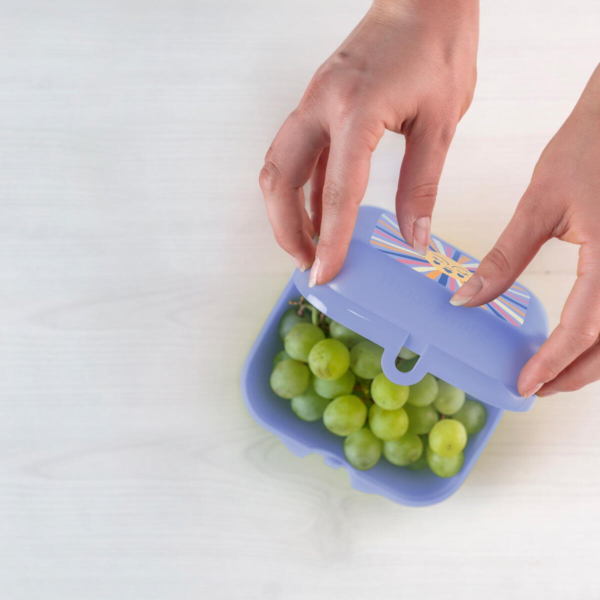 BOITE BETISE ARC EN CIEL - Tupperware Europe