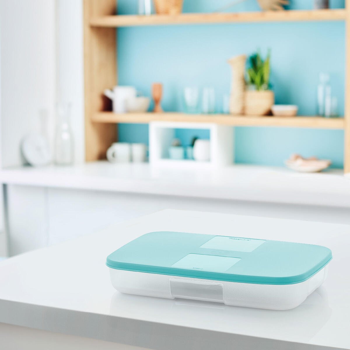 BOITE FRIGO 650 ML BLEU CLAIR (COUVERCLE+BASE) - Tupperware Europe