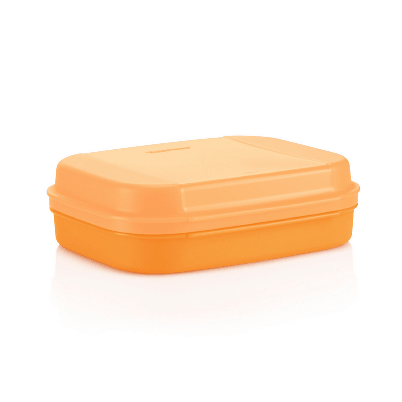Boîte gourmande 1,1 l - Tupperware Europe