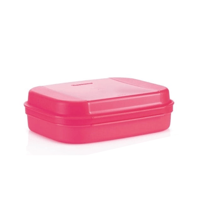 Boîte gourmande 1,1 l - Tupperware Europe