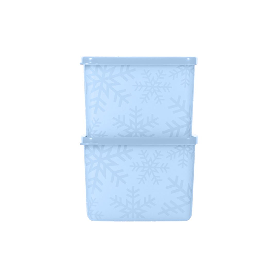 Gefrier-Behälter 800 ml (2)