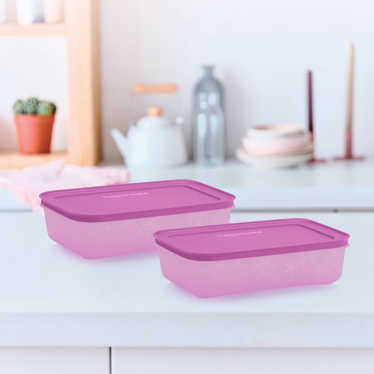 Boîte Igloo 1 l - Tupperware Europe