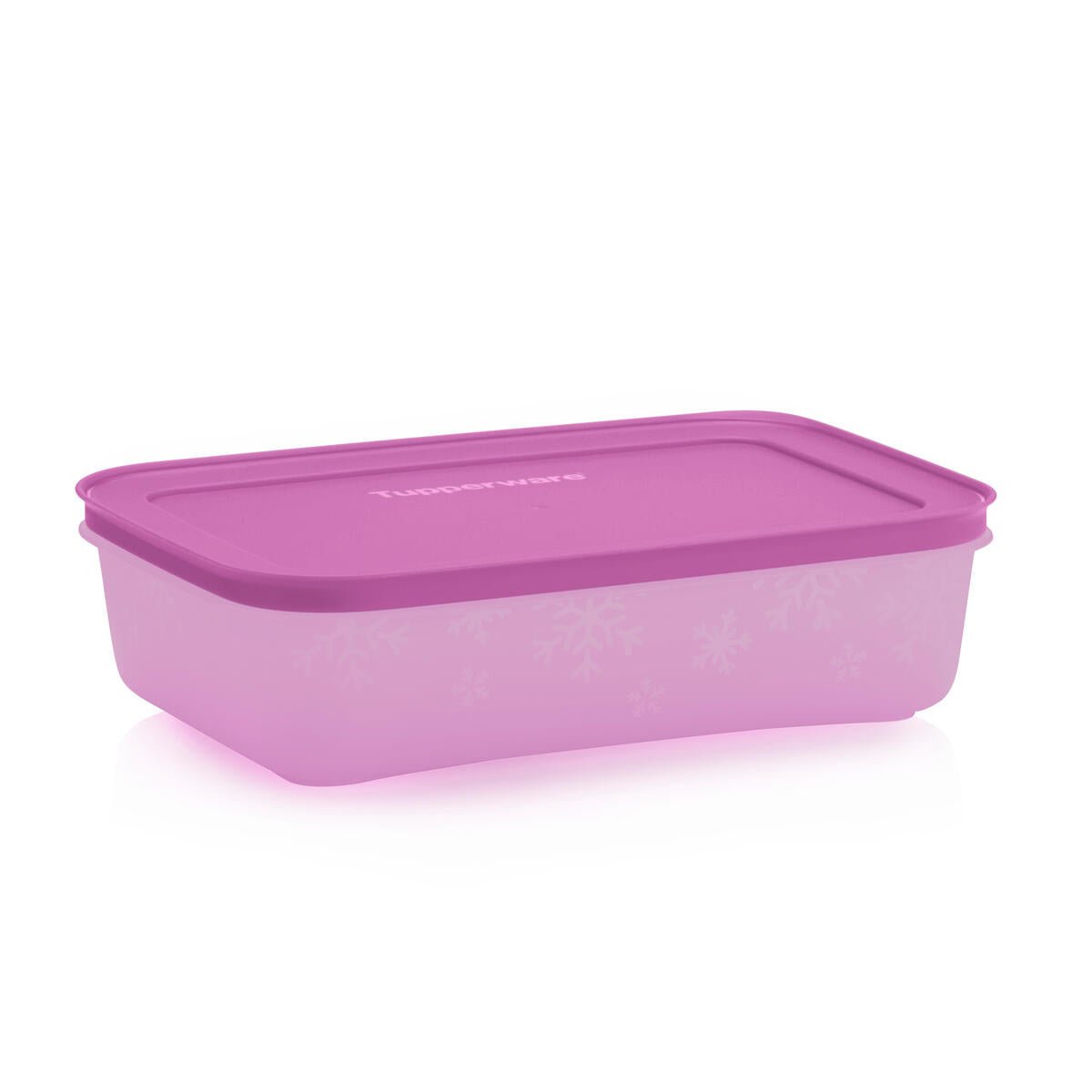 Boîte Igloo 1 l - Tupperware Europe
