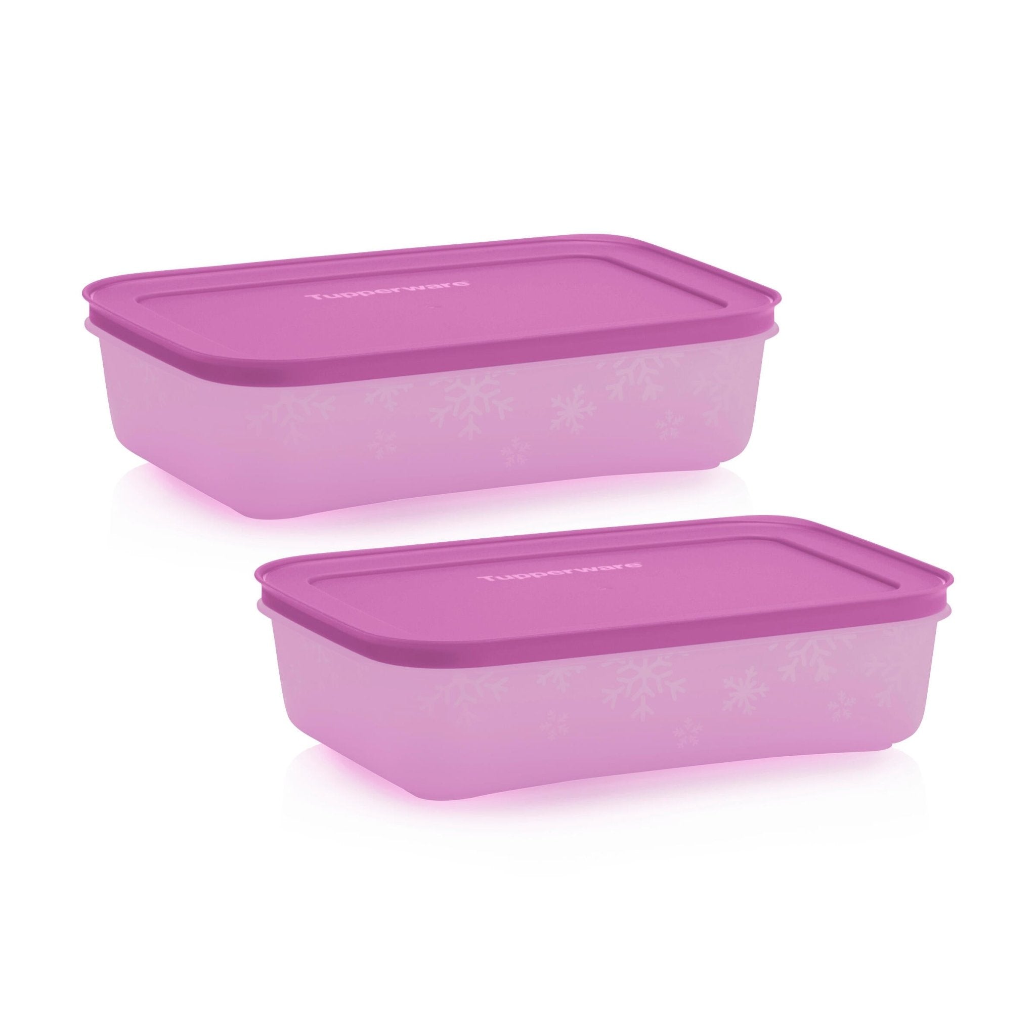 Boîte Igloo 1 l - Tupperware Europe
