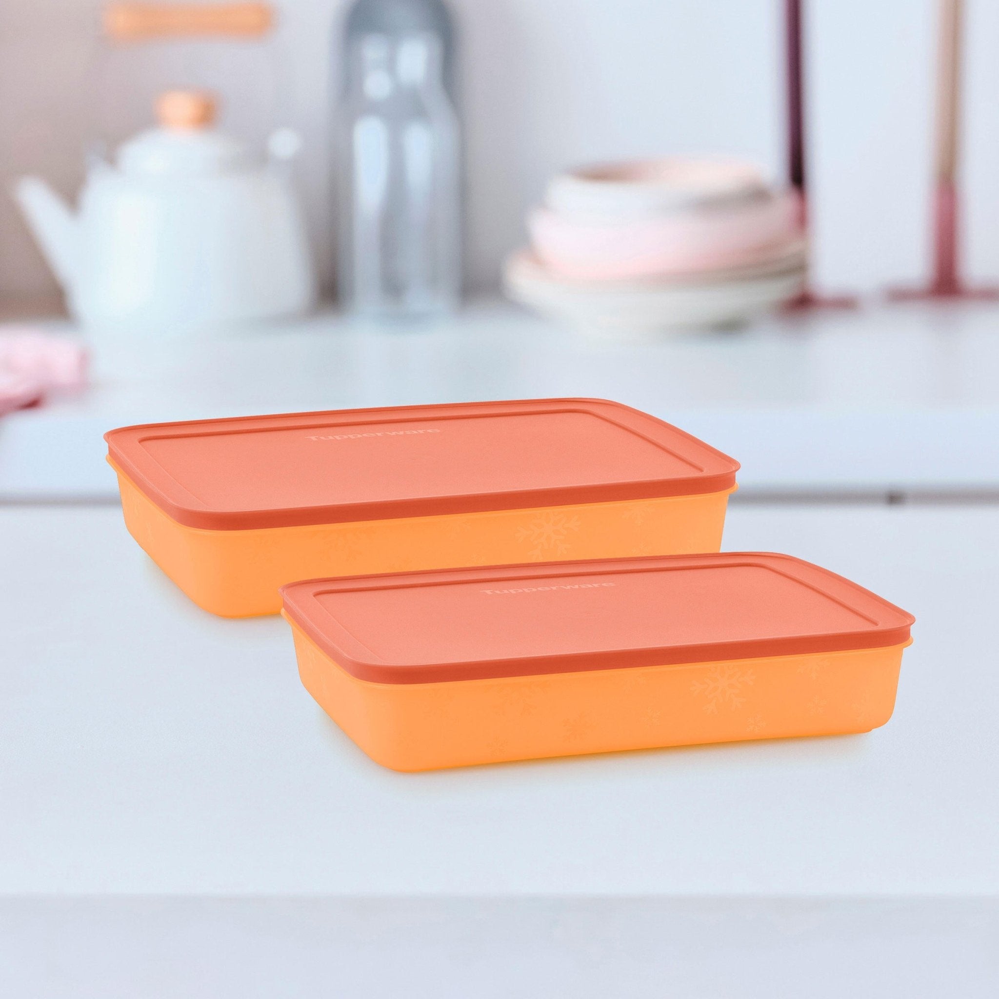 Boîte Igloo 2,25 l - Tupperware Europe