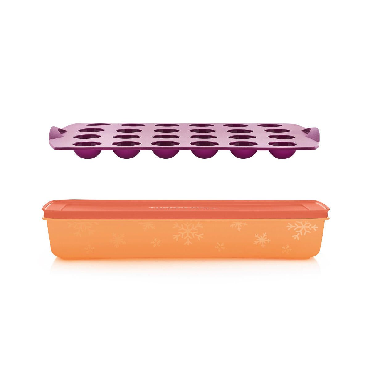 Boîte Igloo 2,25 l - Tupperware Europe