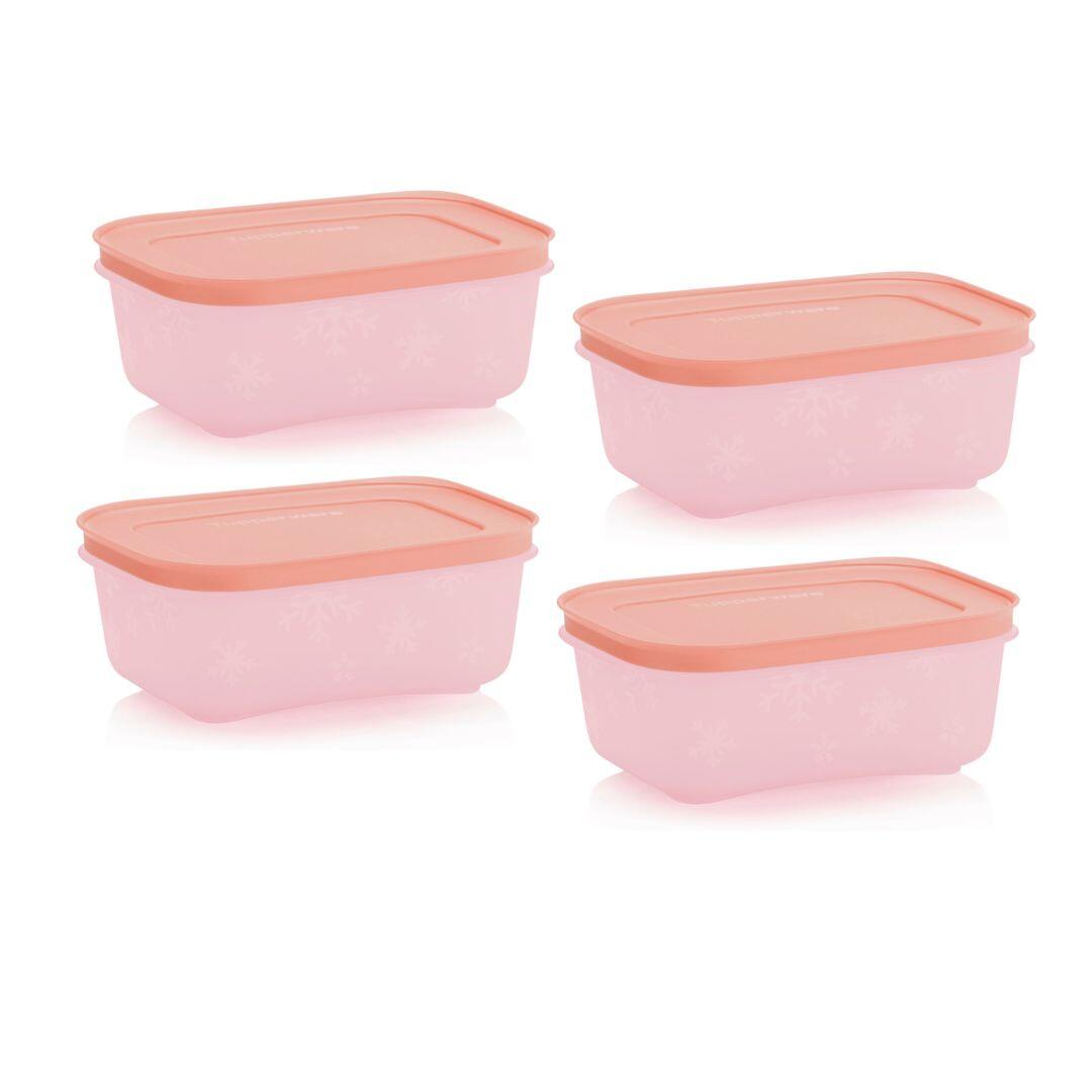 Boite Igloo 450 ml - Set de boite igloo - Tupperware Europe
