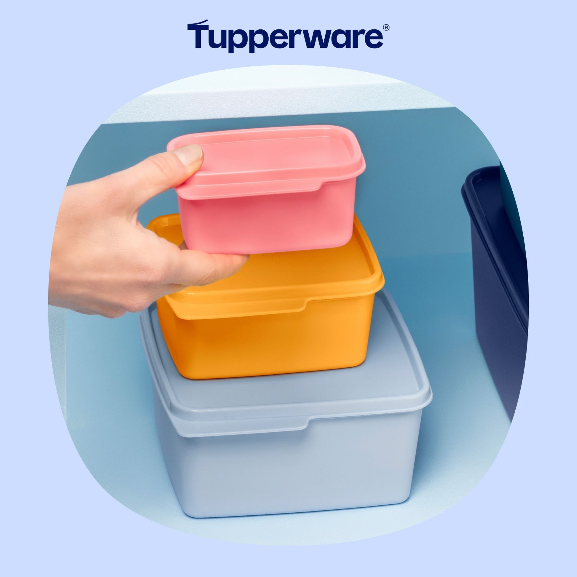 fleisch in tupperware aufbewahrung Basic Line 1,2 l – OOBO – TUPPERWARE FRANCE