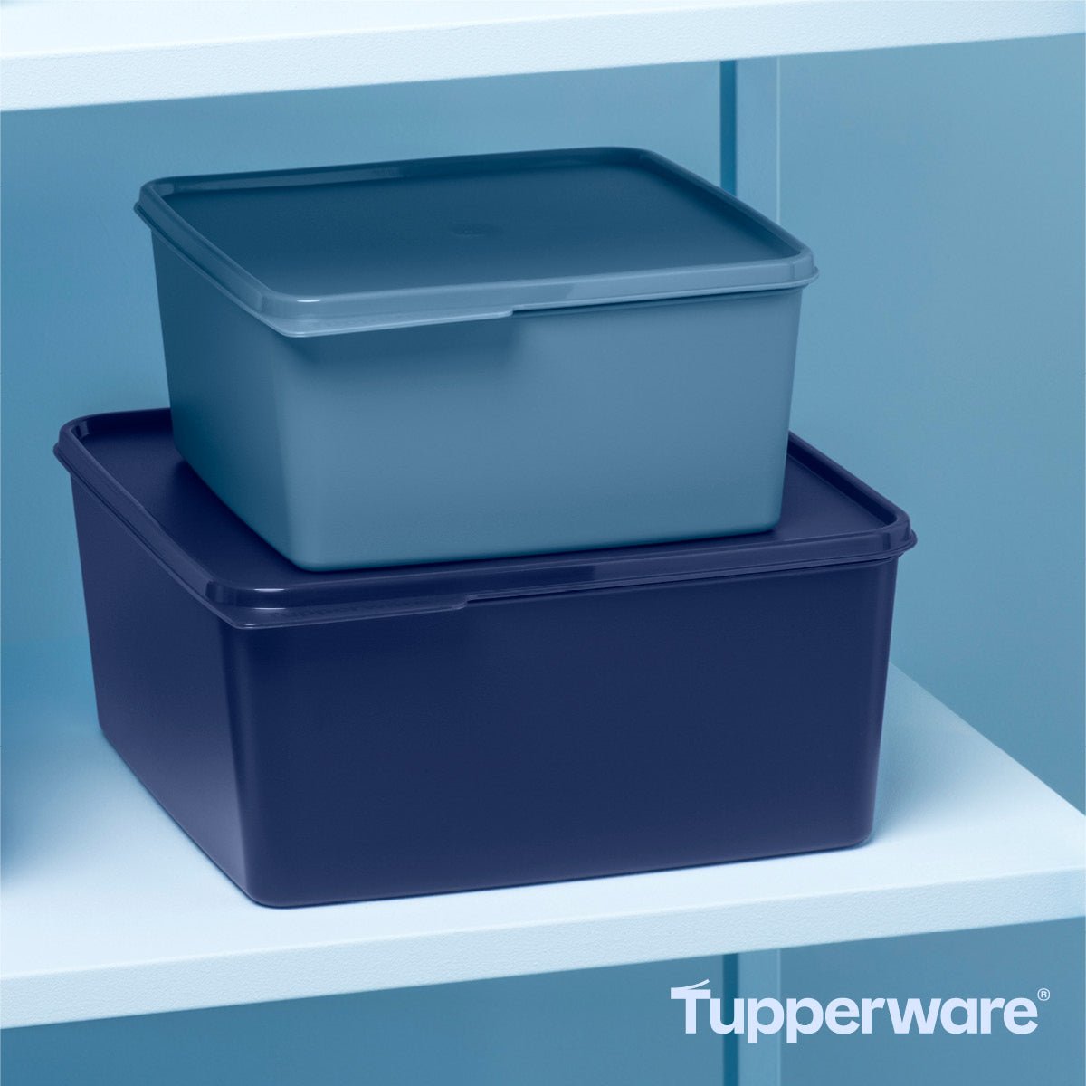 Boîte Maline 2,5 L - Tupperware Europe