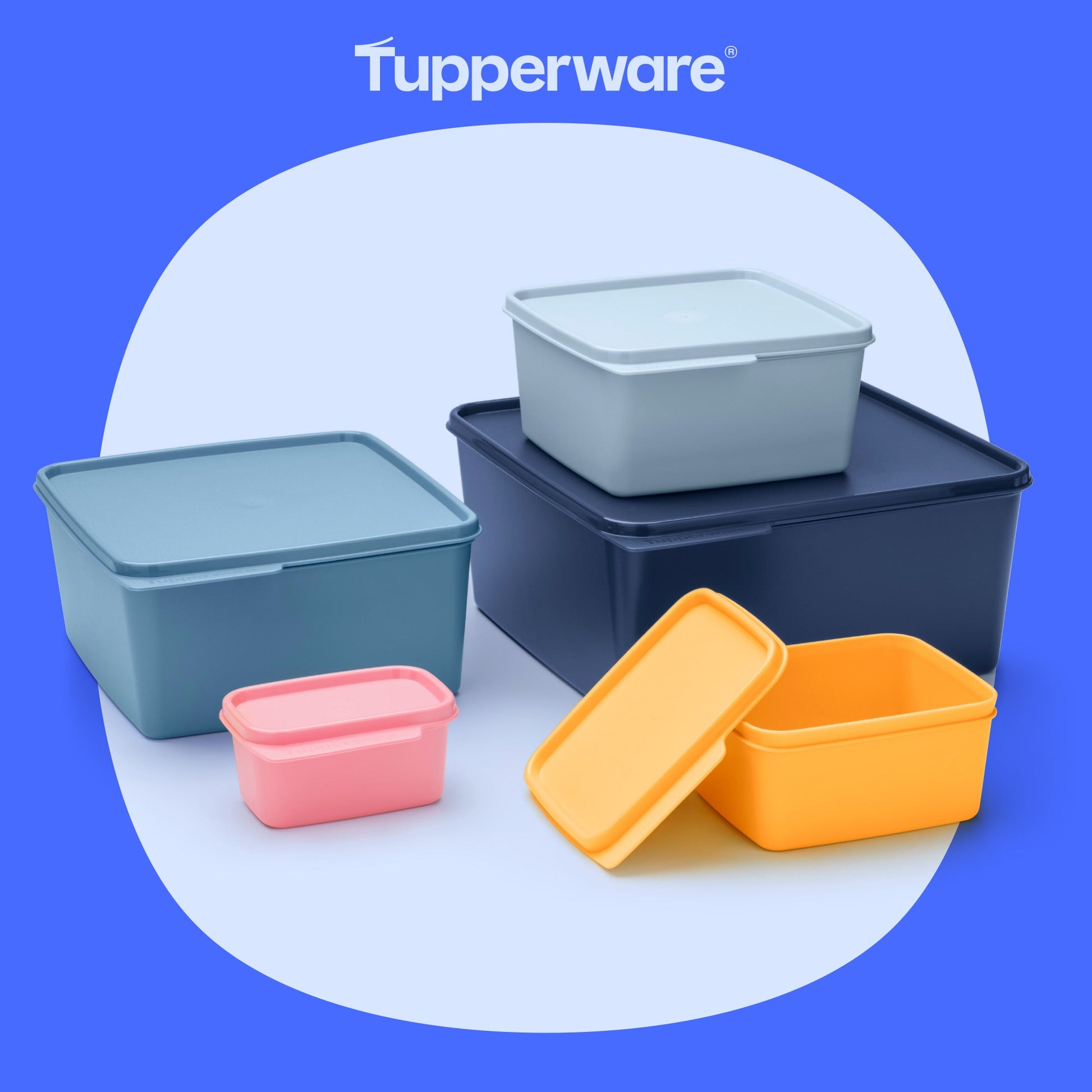 Boîte Maline 2,5 L - Tupperware Europe