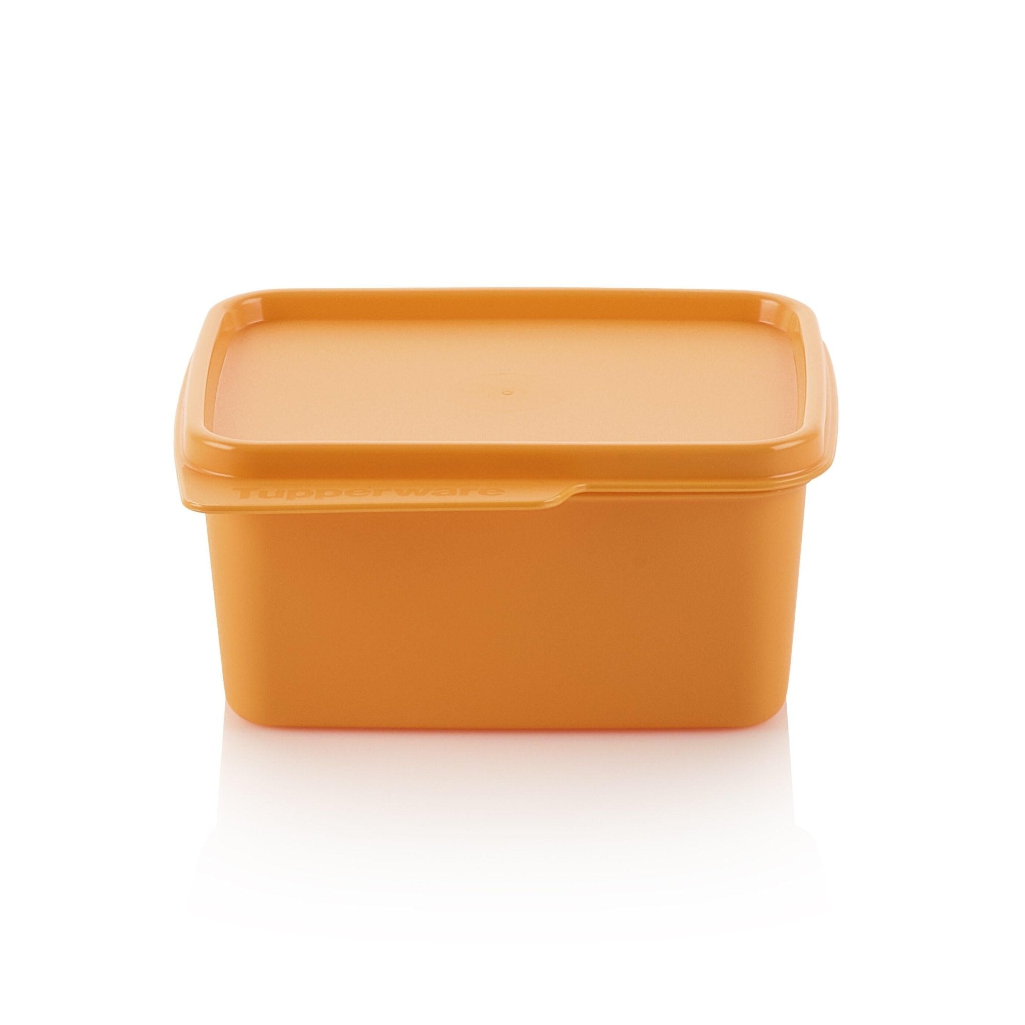 Smart Box 500 ml – OOBO – TUPPERWARE FRANCE
