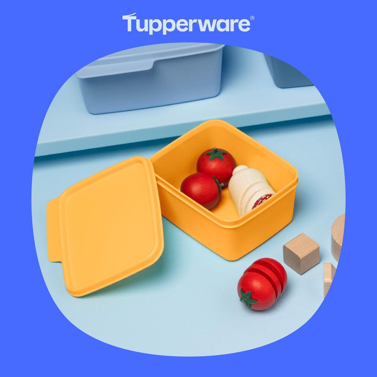 Smart Box 500 ml – OOBO – TUPPERWARE FRANCE
