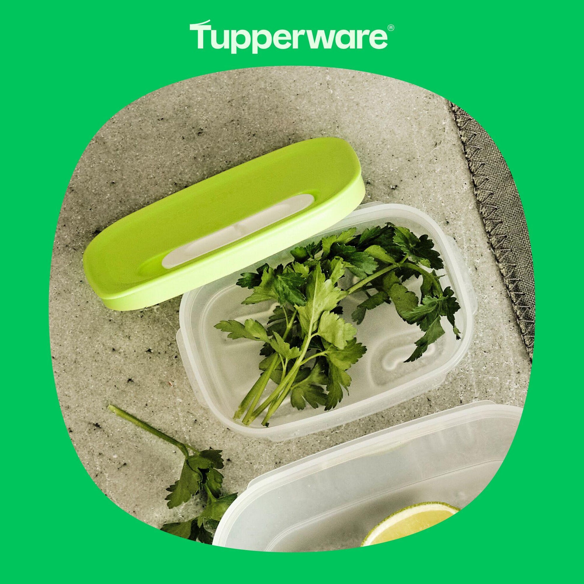 gemüse in tupper aufbewahren Klimaoase 375 ml – OOBO – TUPPERWARE FRANCE