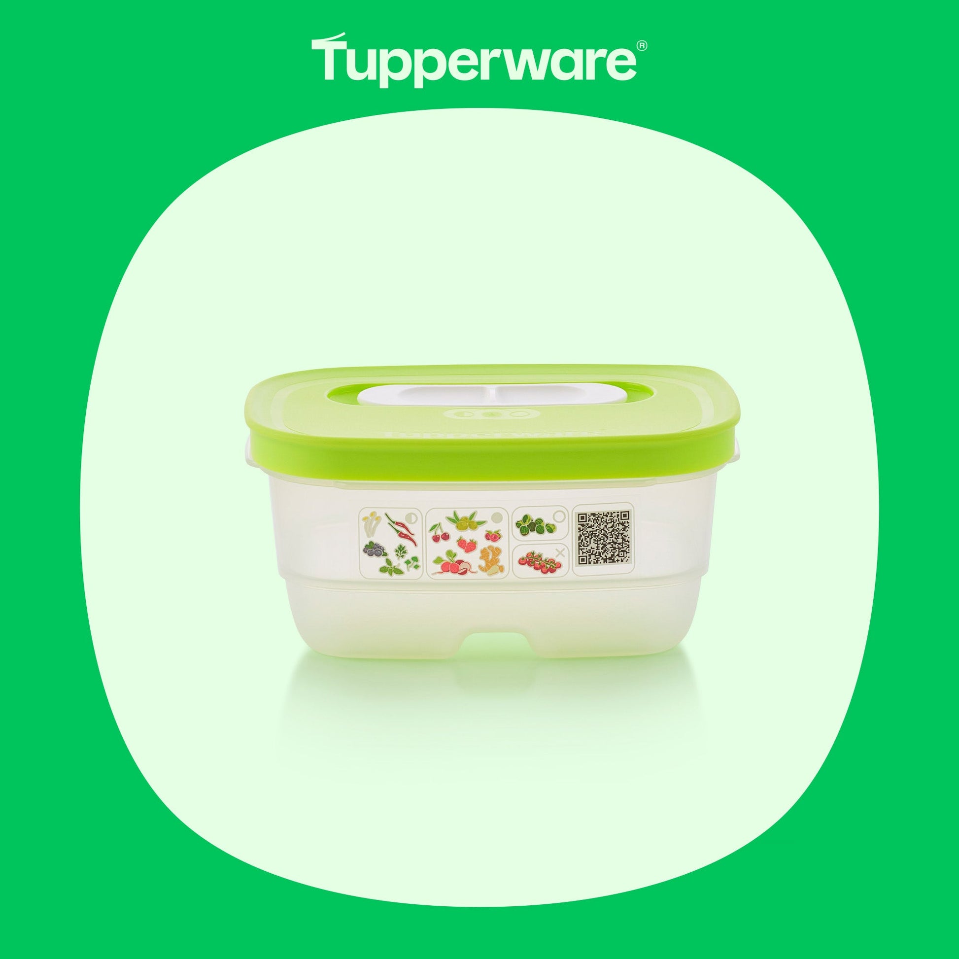 Boîte VentilOfrais 375 ml - Tupperware Europe