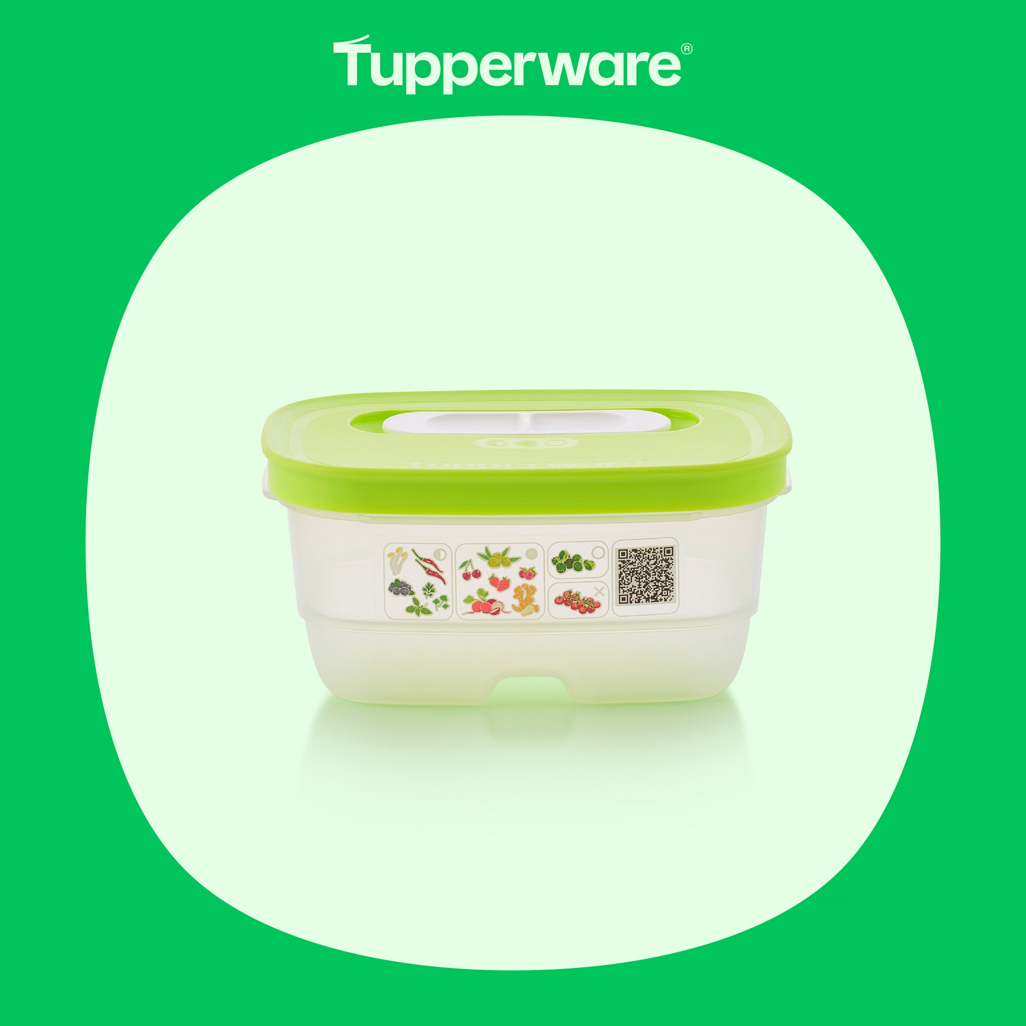 Boîte VentilOfrais 375 ml - Tupperware Europe