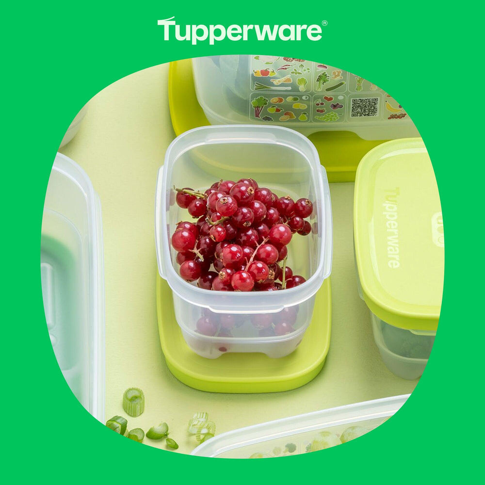 Boîte VentilOfrais 375 ml - Tupperware Europe
