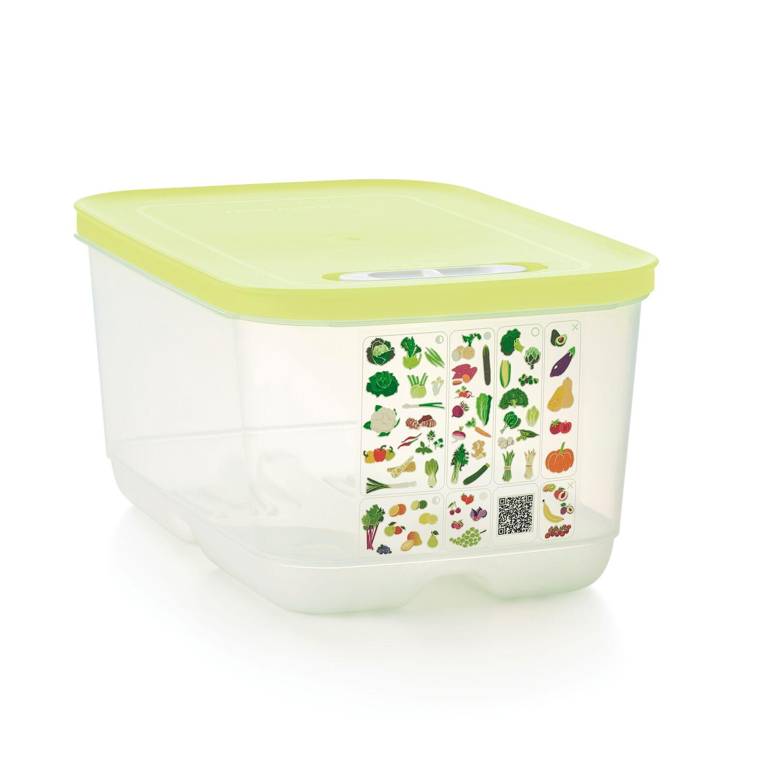 Boite VentilOfrais 4.4 l - Tupperware Europe