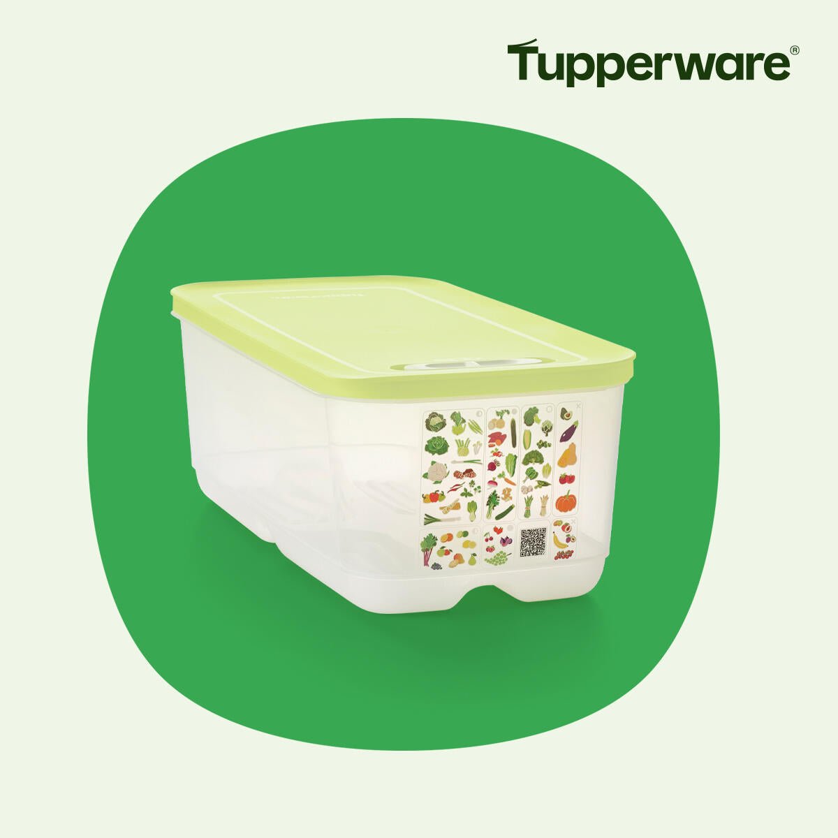 Boite VentilOfrais 4.4 l - Tupperware Europe