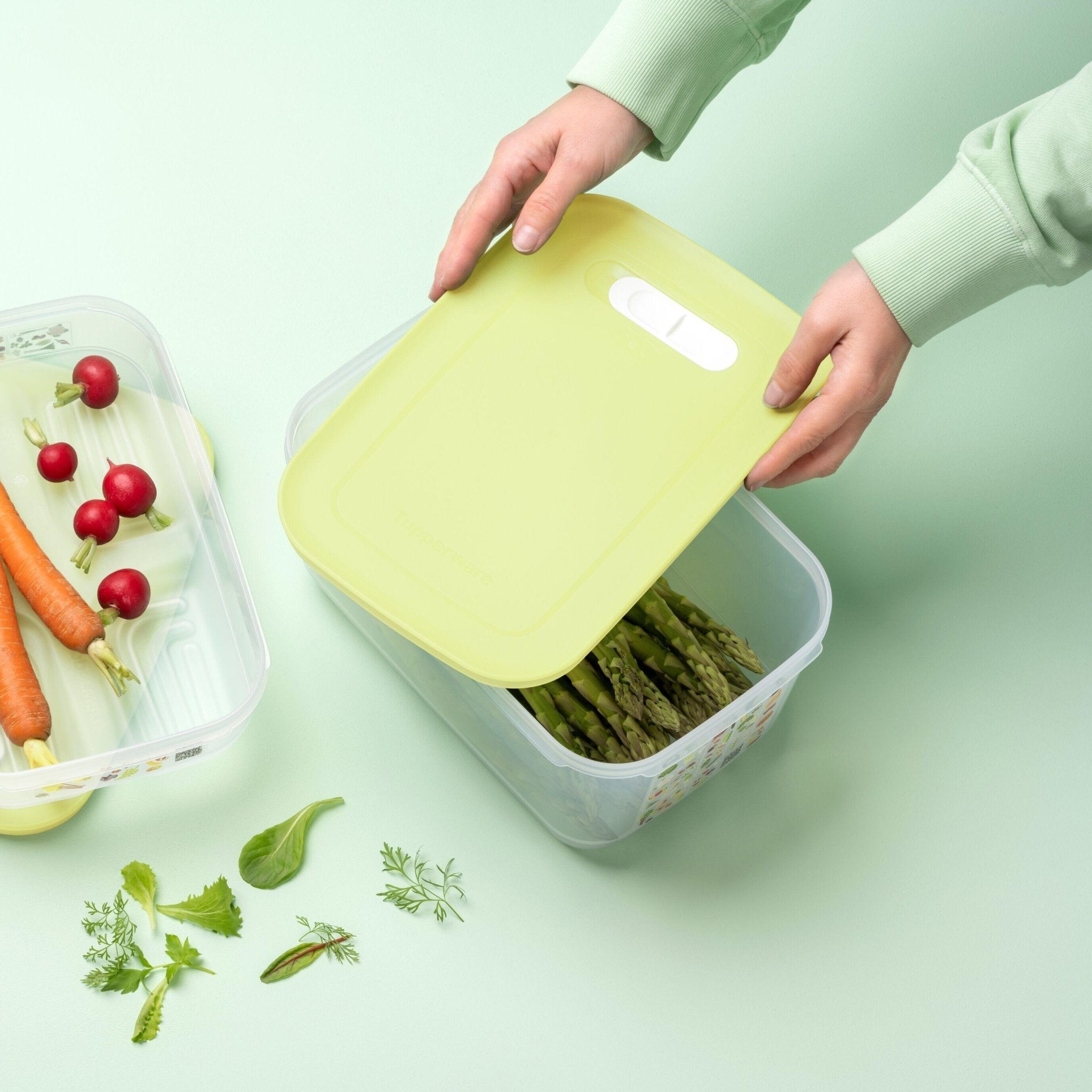 Boite VentilOfrais 4.4 l - Tupperware Europe