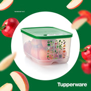 Boîte VentilOfrais 4,4 L - Tupperware Europe