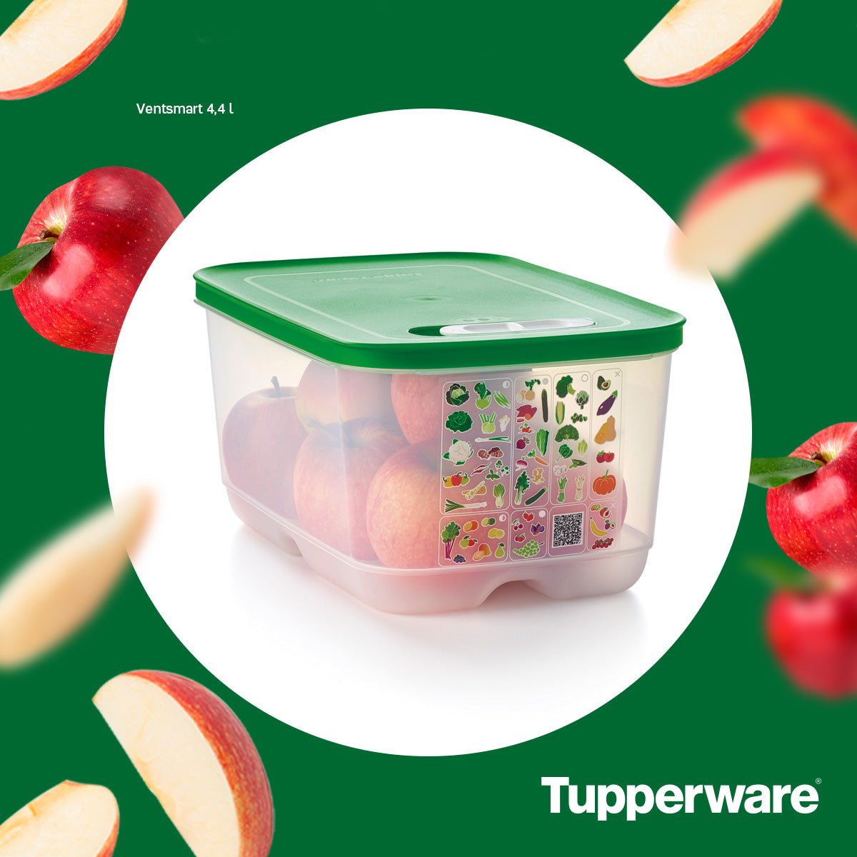 Boîte VentilOfrais 4,4 L - Tupperware Europe