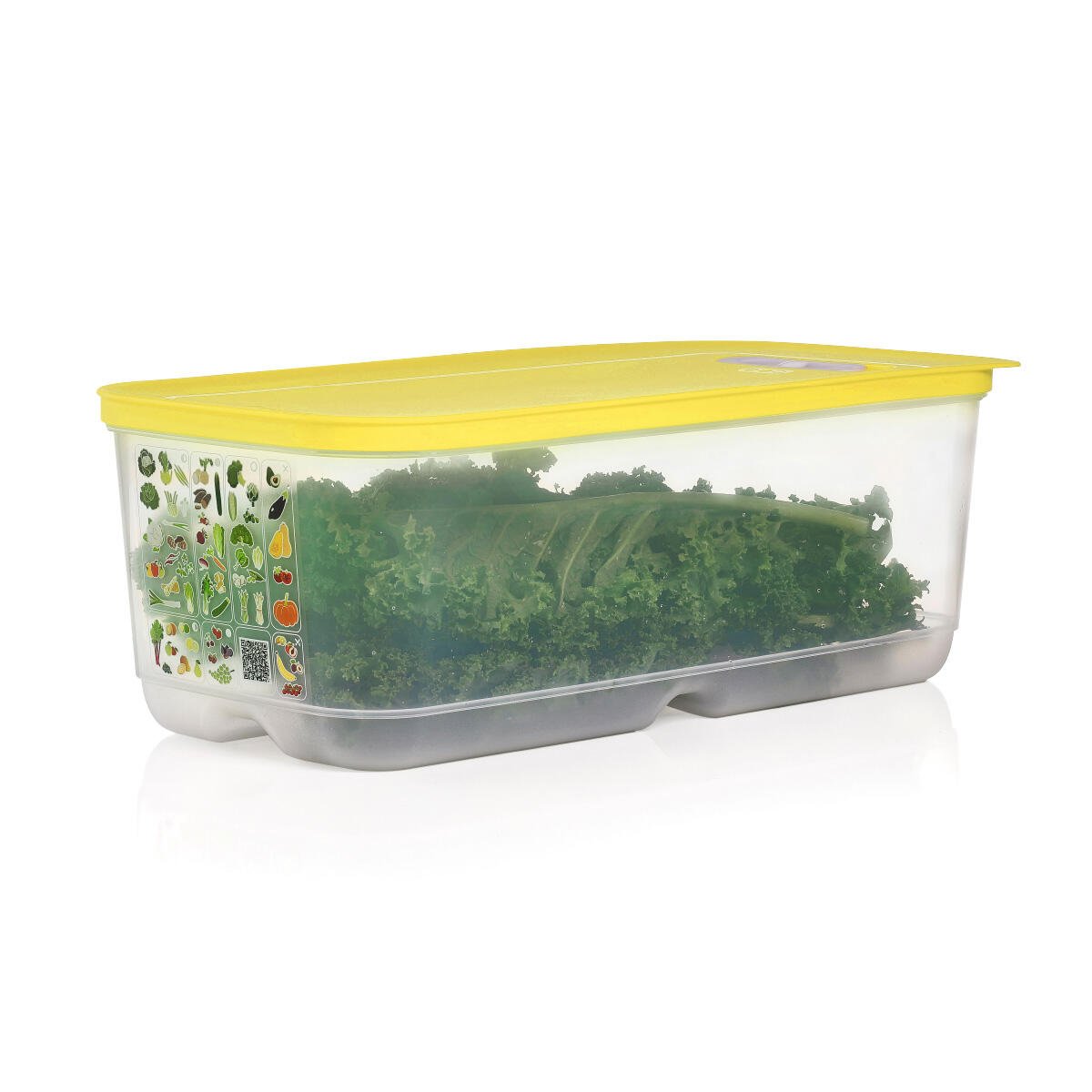 tupper gemüse aufbewahren VentilOfrais Box 6,1 L – OOBO – TUPPERWARE FRANCE