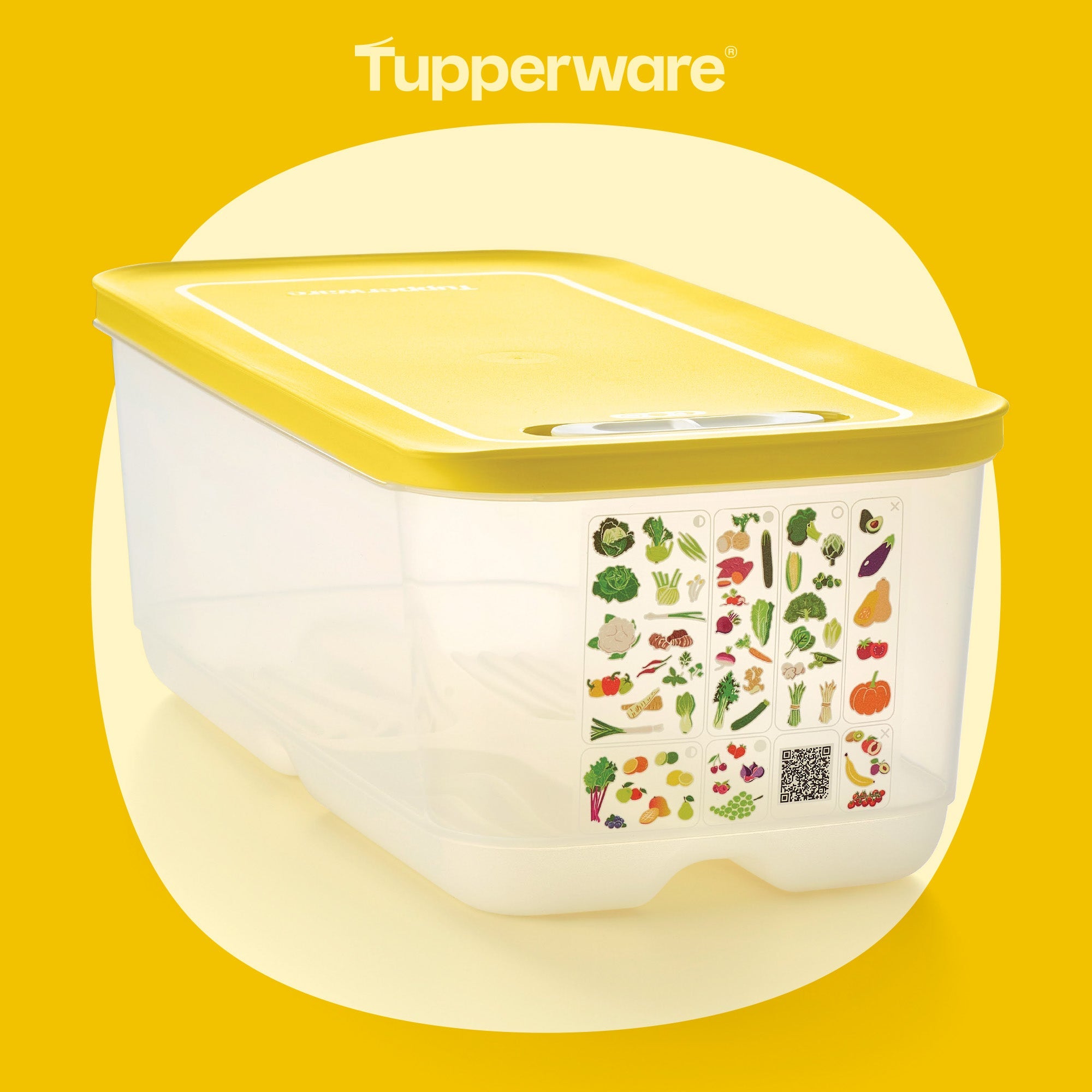 Boîte VentilOfrais 6,1 L - Tupperware Europe