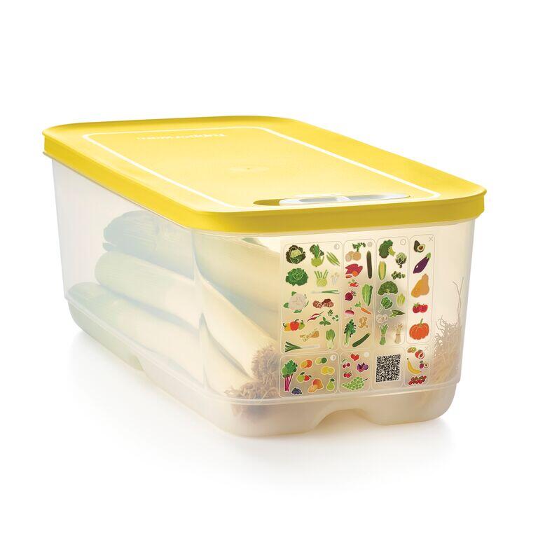 Boîte VentilOfrais 6,1 L - Tupperware Europe
