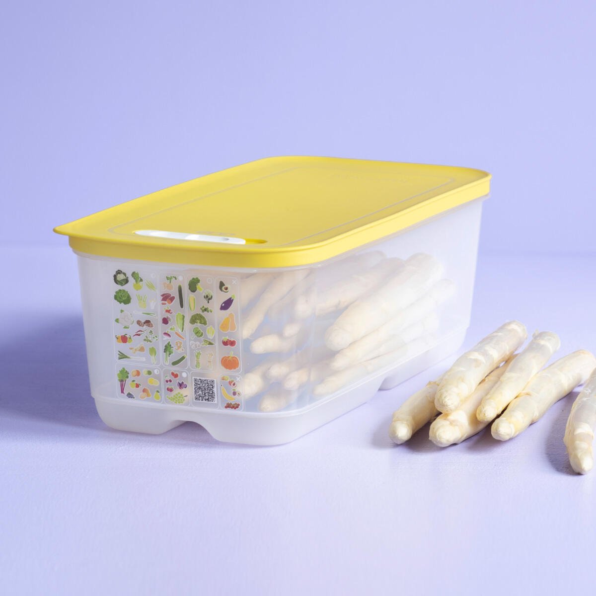 Boîte VentilOfrais 6,1 L - Tupperware Europe