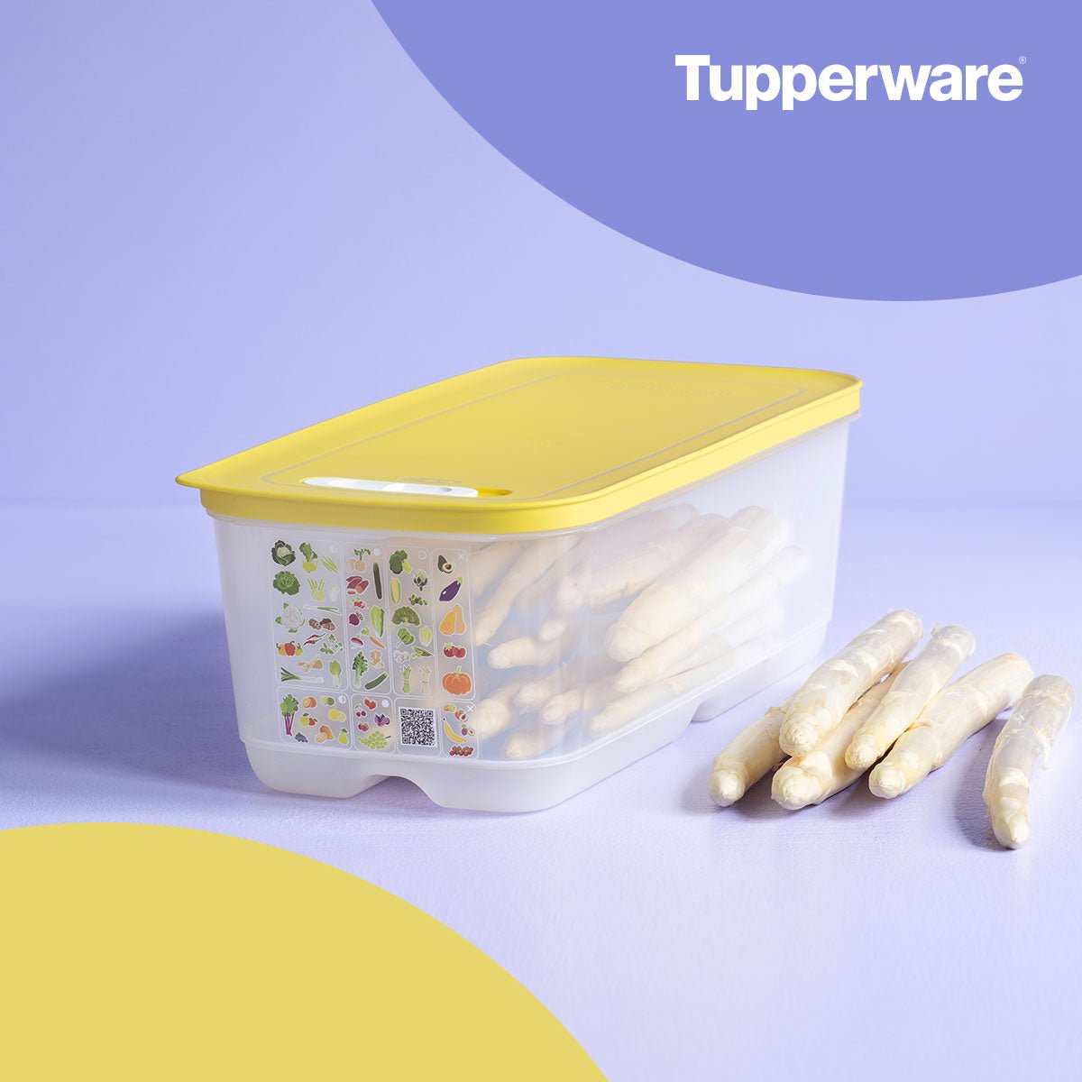 Boîte VentilOfrais 6,1 L - Tupperware Europe