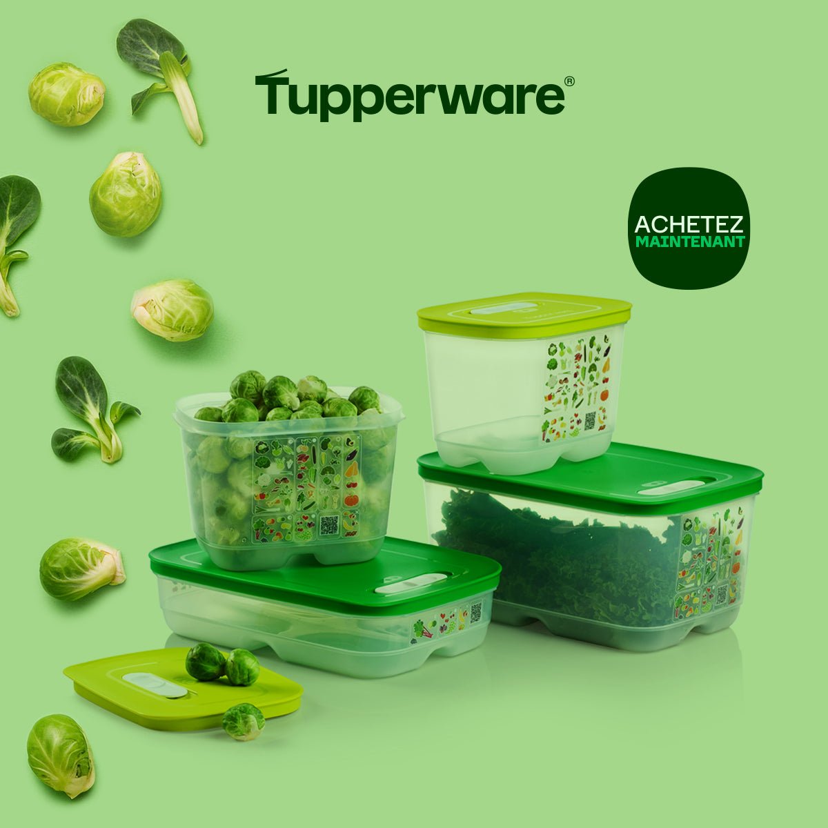 gemüse in tupper aufbewahren Klimaoase 375 ml – OOBO – TUPPERWARE FRANCE