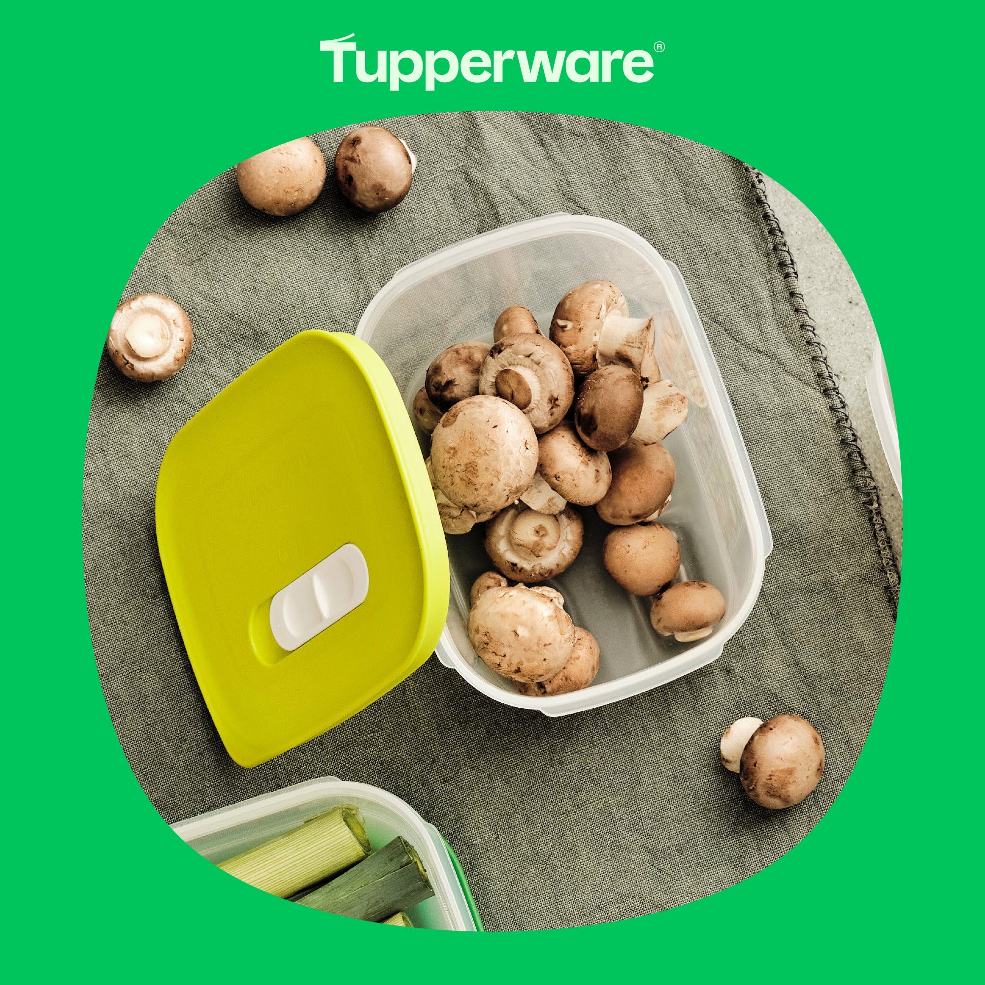Boîte VentilOfrais 800 ml - Tupperware Europe